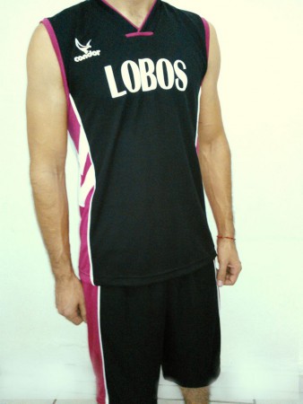 Modelo LOBOS